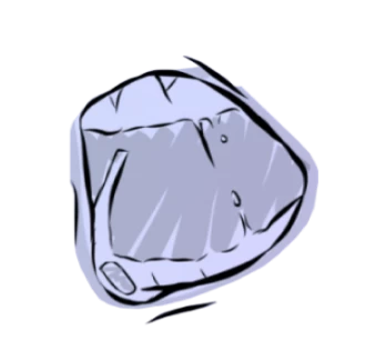 Поместите пластинку между верхней губой (или нижней) и зубами